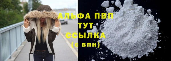 прущий лед Инсар