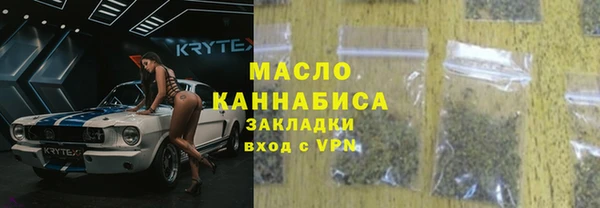 молекула духа Богданович