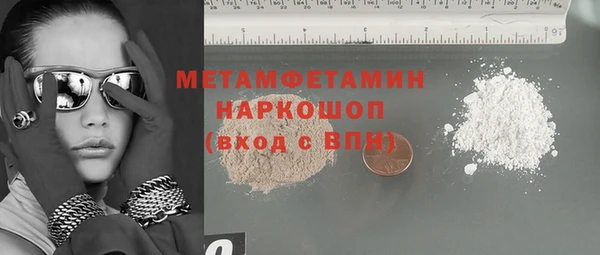 молекула духа Богданович