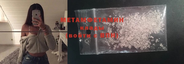 молекула духа Богданович