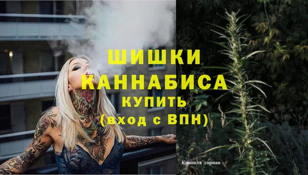 бошки Богородицк