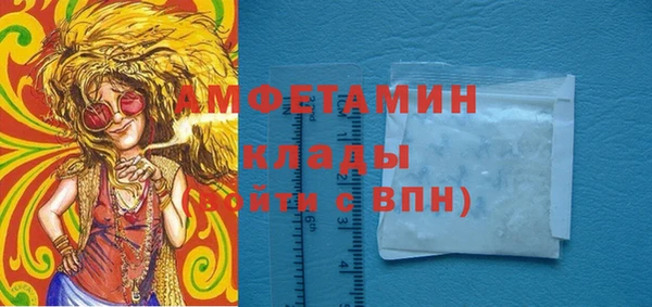 молекула духа Богданович