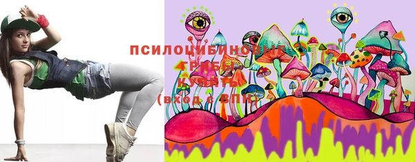 молекула духа Богданович