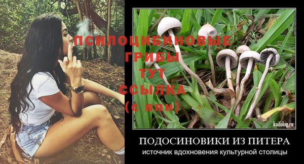 альфа пвп Инта