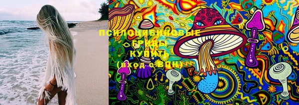 бошки Белокуриха