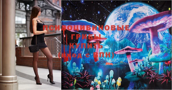 молекула духа Богданович
