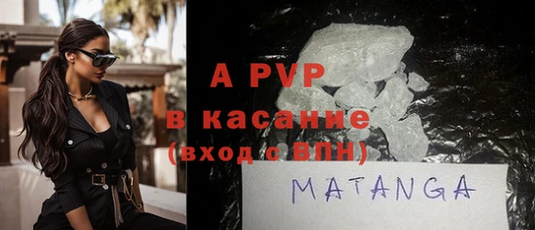 молекула духа Богданович