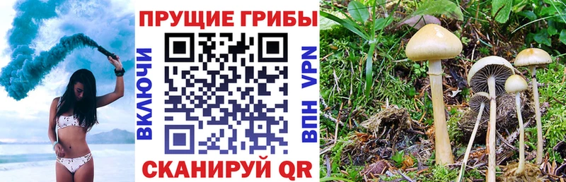 цена наркотик  Великие Луки  Галлюциногенные грибы GOLDEN TEACHER 